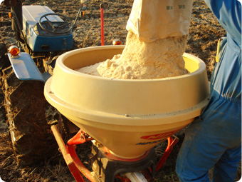 米ぬかを散布しています。じっくり作った土壌で美味しいお米が出来上がります。