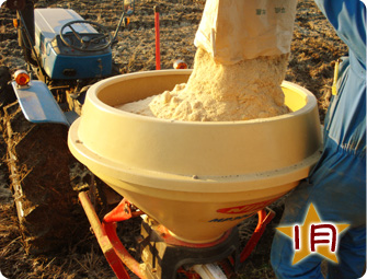 米糠を散布し切りわらを発酵促進させぼかし肥料作り